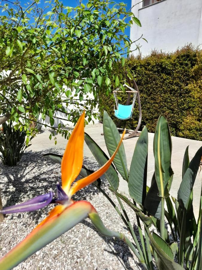 Il Giardino Di Flora - Piscina & Jacuzzi Hotel Lecce Buitenkant foto